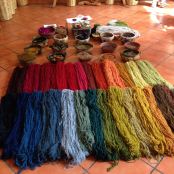 Oaxaca Weaver